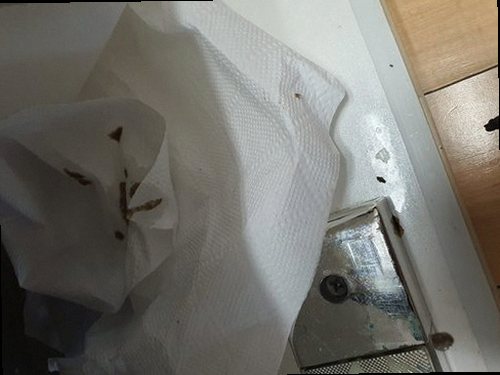 오산 가장동 하수구막힘 배관 연결부와 트랩 내부를 확인하는 점검 과정