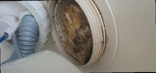 오산 은계동 하수구막힘 배수구 주변의 물 고임과 오염 상태를 확인하는 모습