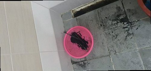 오산 지곶동 하수구막힘 욕실 배수 상태와 변기 주변을 점검하는 현장 모습